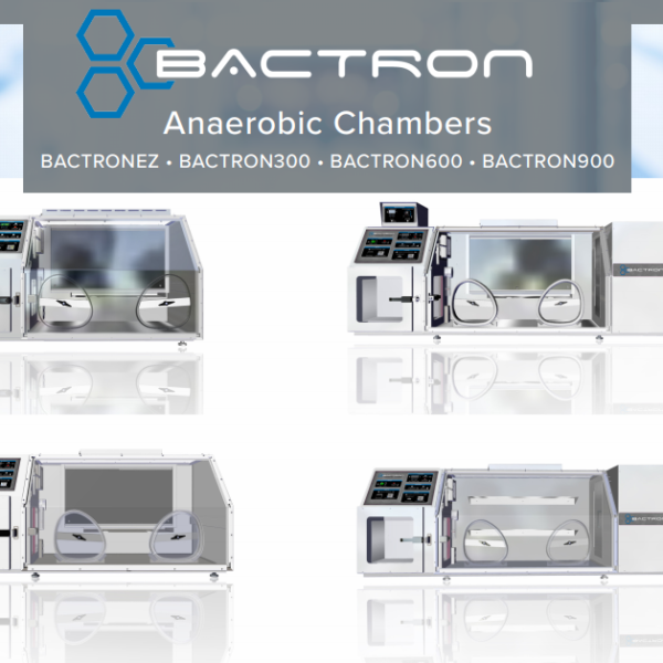 Anaerobic Chambers Shellab